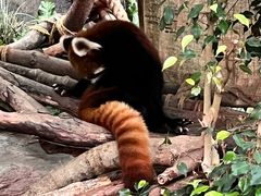 -香港海洋公园