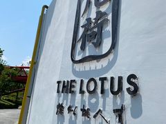 -几荷·恰似故人来(秀水广场店)