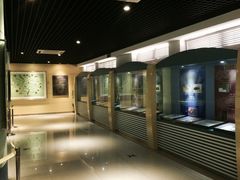 -上海昆虫博物馆