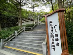 -广州市帽峰山景区