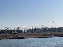 -春花秋色城市公园