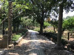 -雨花胜境