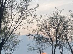 -廊坊文化艺术中心