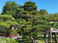 -水前寺成趣园