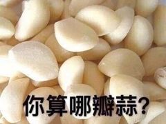 -Chanel(永利皇宫店)