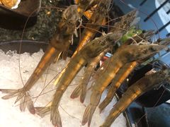 -王家渡火锅店(棕榈泉店)