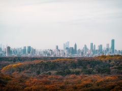 -灵谷景区