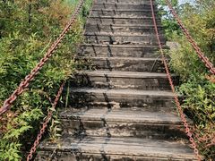 -合肥滨湖国家森林公园