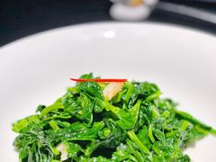 豌豆苗-桂语山房(满觉陇店)