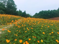 -保利石象湖景区