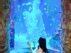 -沈阳海洋探索中心