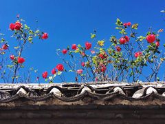 -丽江玉水寨