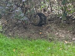 -百盛烧烤·龙虾·小酒馆(丽岛华都店)