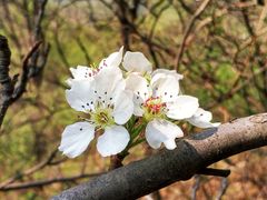-白河堡水库