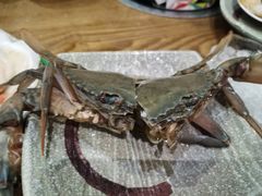 -阳光岛·海鲜盛宴(银泰中心in99店)