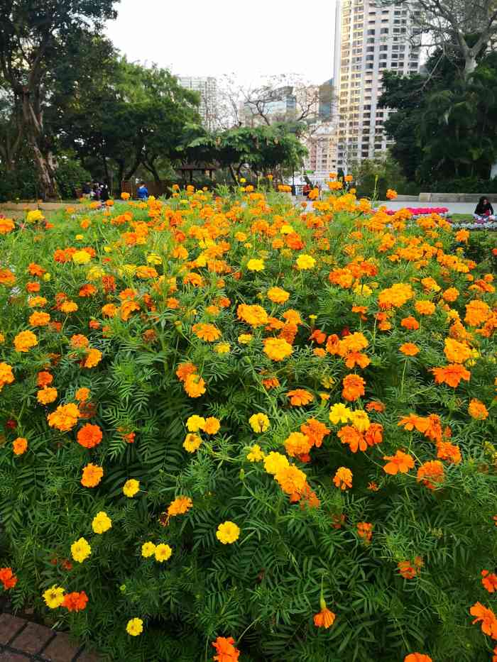 香港動植物公園-