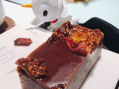 喝醉的无花果-青山研究所Aoyama Lab