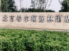 -北京希尔顿逸林酒店