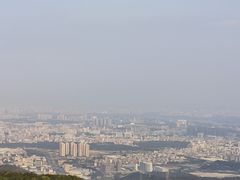 -东莞市大岭山森林公园