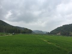 -南泥湾风景区