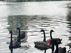 -鲁迅公园-垂钓中心