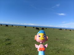 -青海湖国家重点风景名胜区