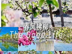 -元大都城垣遗址公园