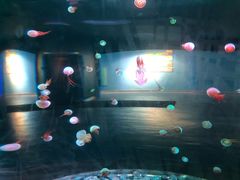 -多彩贵州城极地海洋世界