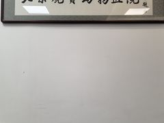 -北京观赏动物医院·24小时大型综合·猫专科·异宠专科