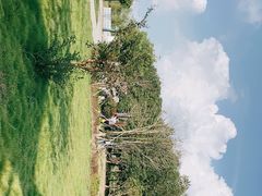 -七的湖·晚芳亭·阳澄湖农家菜·大闸蟹(莲花岛店)