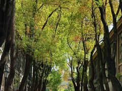 -南京晨光1865创意产业园