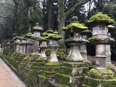 -奈良公园