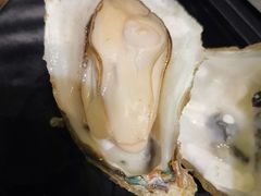 -土蚝·高压锅生蚝(百姓美食街店)
