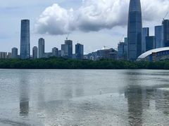 -深圳湾公园(南山区)