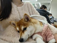 -怪兽屋·羊驼·猫咖·狗咖(俊华广场店)