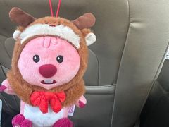 -九木杂物社(恒隆广场店)