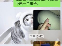 -美联众合爱康动物医院•复杂内科•肿瘤科•牙科•腔镜诊疗中心