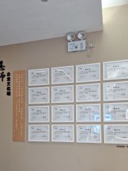 -丽栢嘉美容