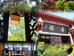 -成都大熊猫繁育研究基地