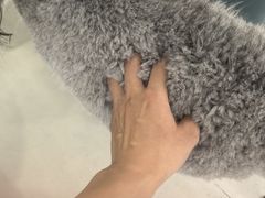 -安格丽娜·狗咖·猫咖羊驼咖(春熙路百盛商场店)