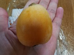 -百果园PAGODA(应元路店)