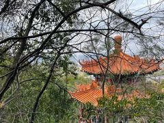 -神光山国家森林公园