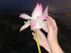 -西湖游船