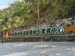 -野象谷景区