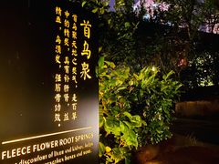 -万象温泉景区