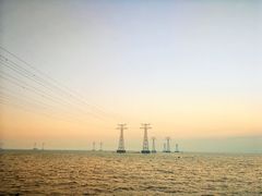 -宝安西湾红树林湿地公园