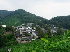 -龙井村