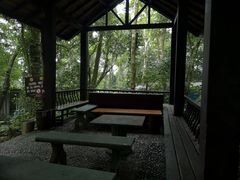 -七仙岭温泉国家森林公园