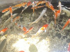 -福州罗源湾海洋世界旅游区