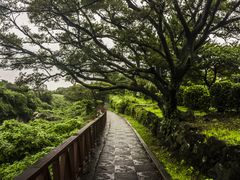 -龙头岩(Dragon Head Rock)
